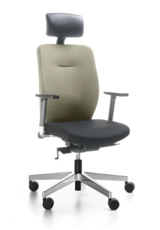 Fotel ergonomiczny bejot dual z zagłówkiem