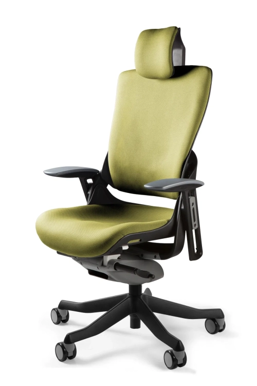 Fotel ergonomiczny WAU2 tapicerka oliwkowa, czarna podstawa